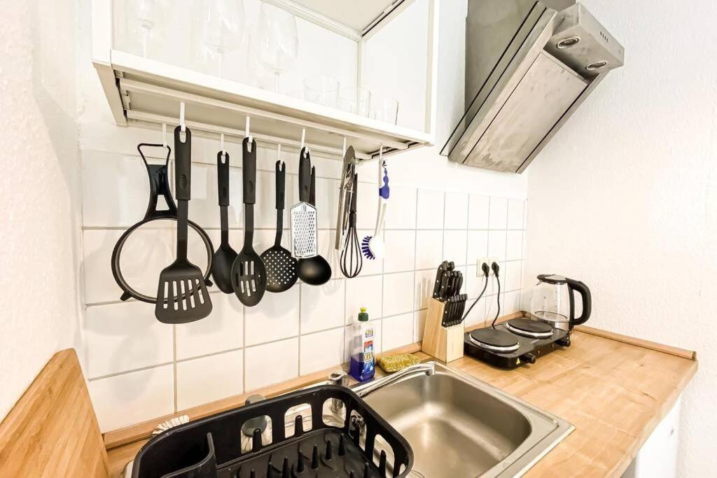 Apartment Am Auensee Mit Grosser Terrasse & Privat-Parkplatz ライプツィヒ エクステリア 写真